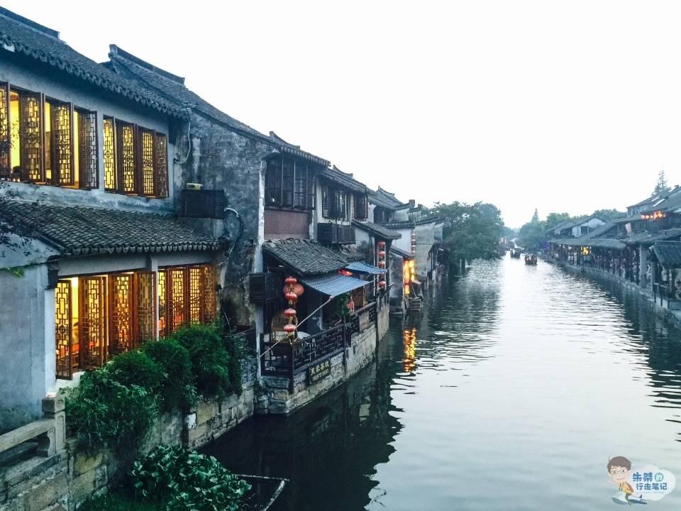 动物帮帮忙保卫家园